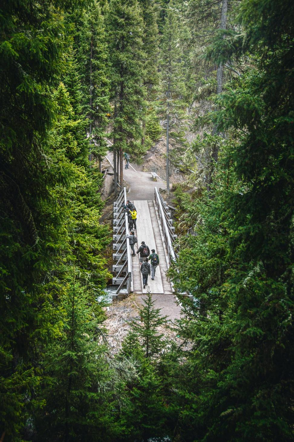 Mountain biking